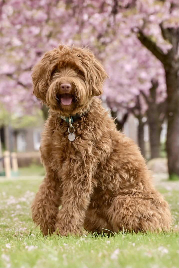 1E2C0D0F-3D6D-41D1-BBC6-3EF5815A0297_1_201_a