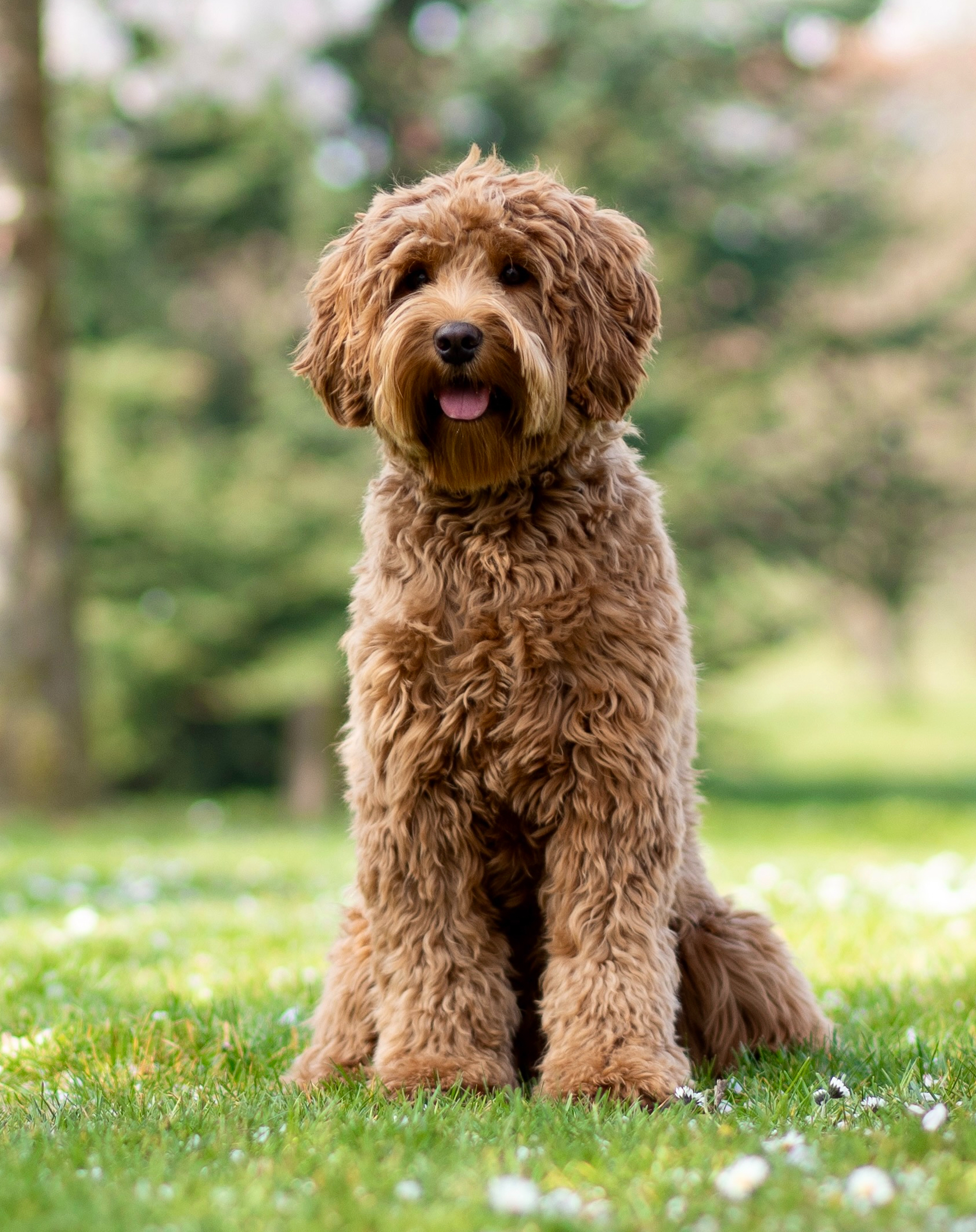 4990F3CA-B1B3-4CA5-94BF-2164783990FB_1_201_a