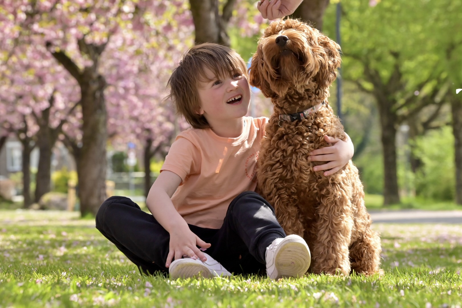 A2108DE6-5431-4AF7-8B08-F77F7BE59D43_1_201_a