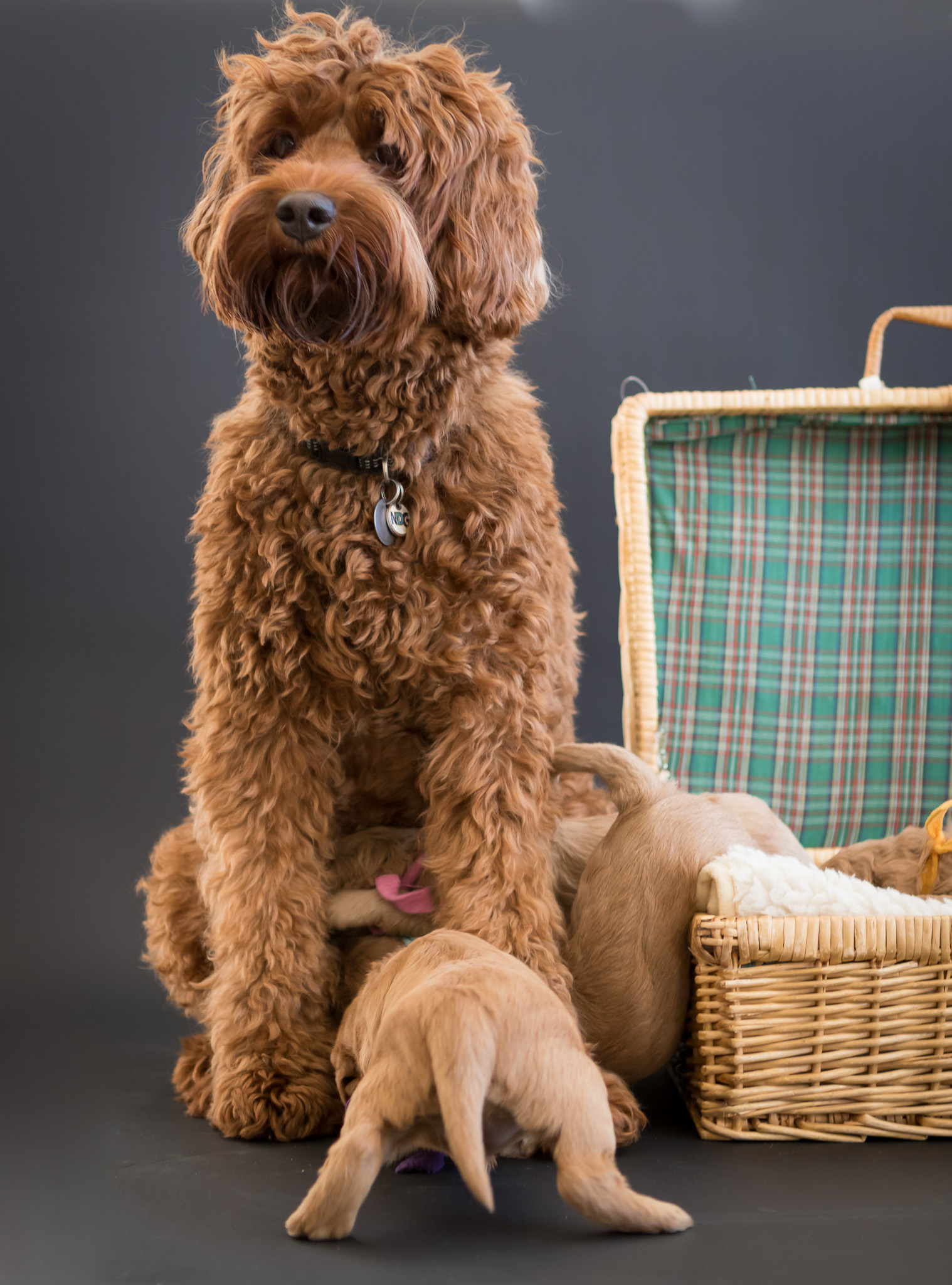 6D62466F-069A-4C78-B081-8F2FE028CE0C