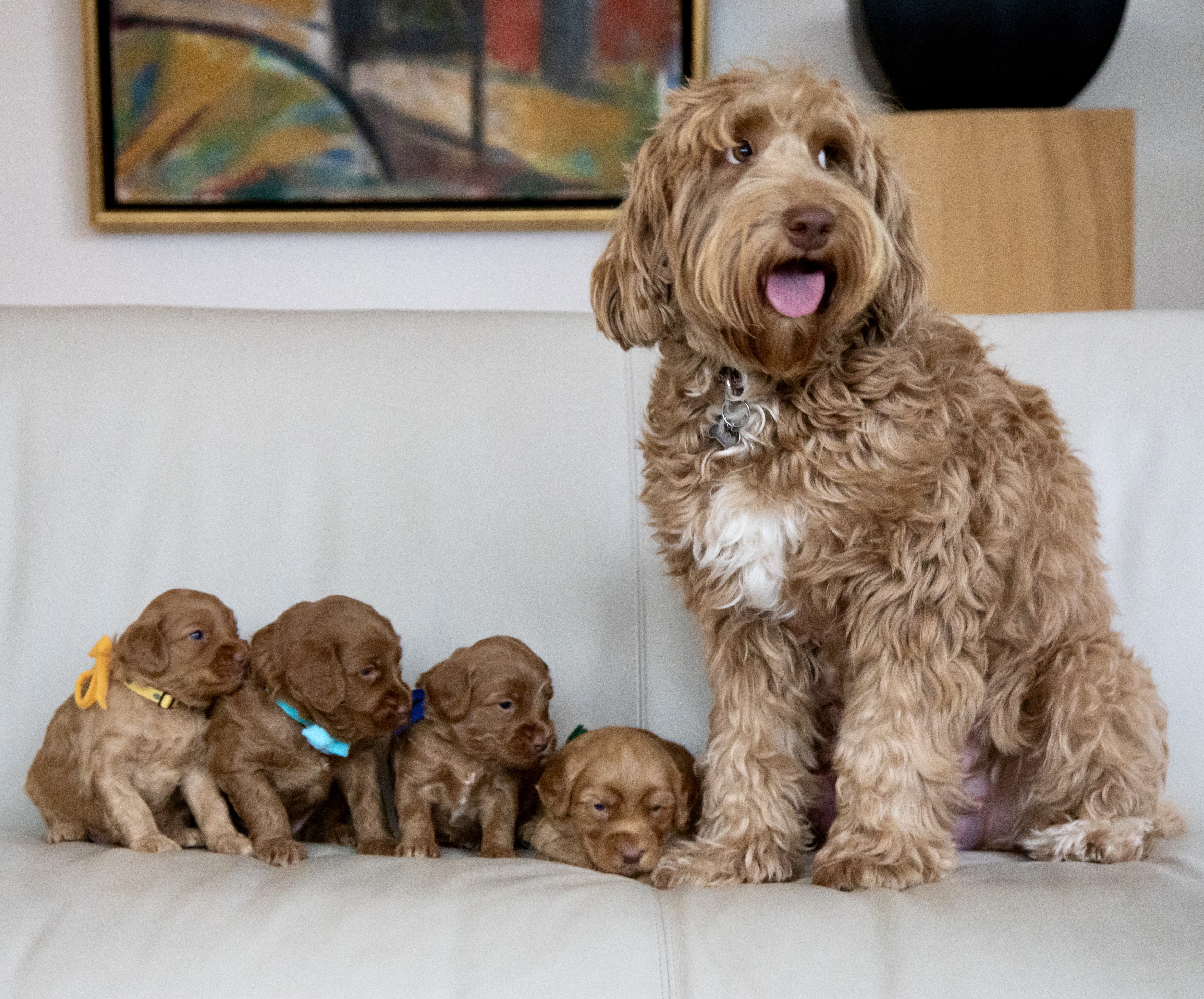 647DC49C-7A6D-4E8D-AB34-A76D1C94540D_1_201_a